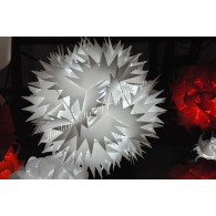 Cactus IQ Puzzle Lam...